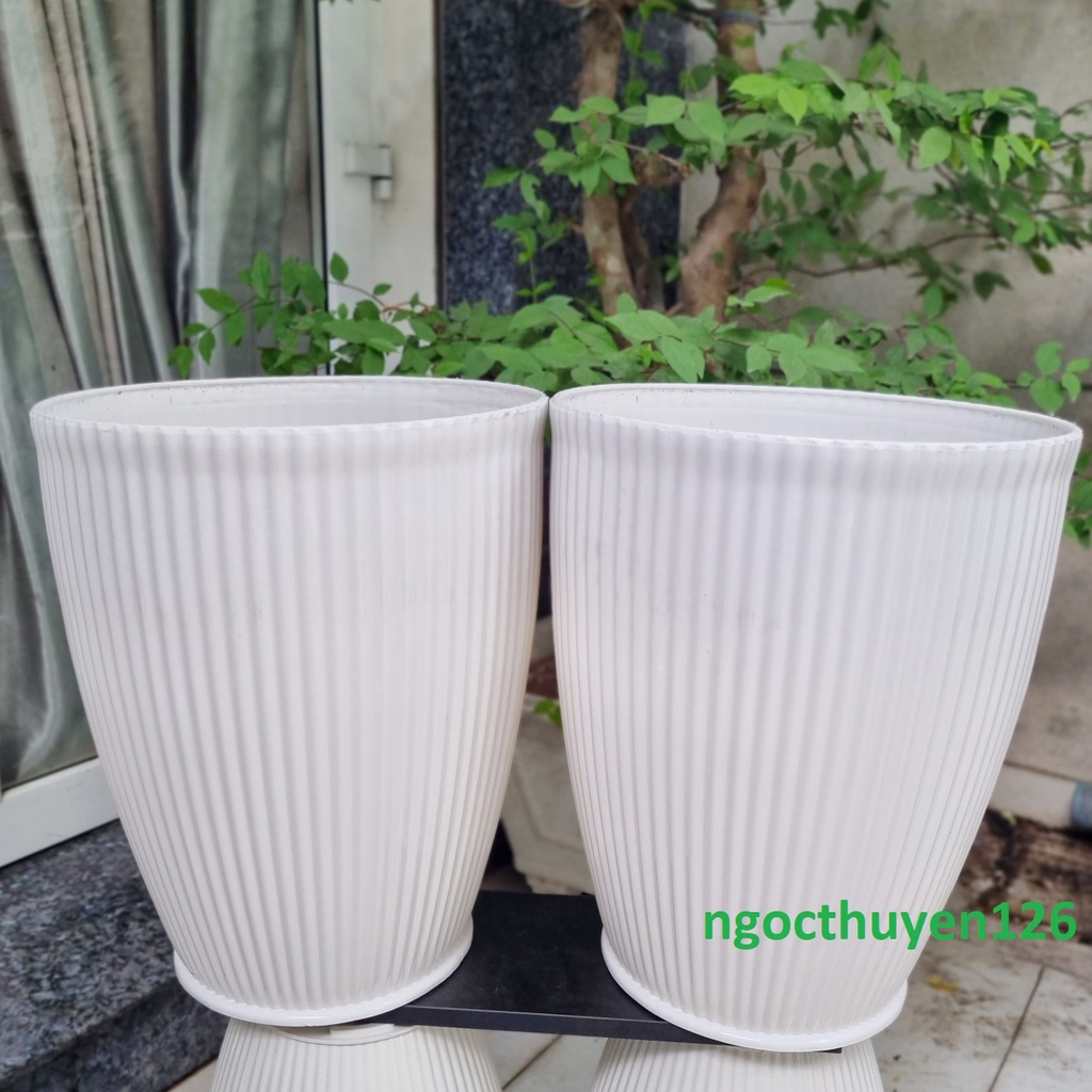 Bộ 02 chậu trồng hoa gân sọc màu trắng size đại 40x48x26cm nhựa dày đẹp