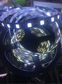 LED dây 5054 12V ko keo