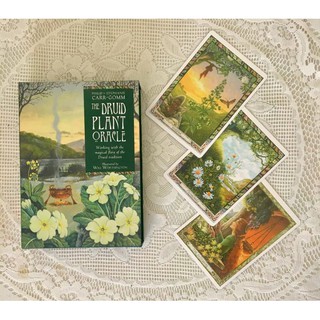 Bộ bài The Druid Plant Oracle