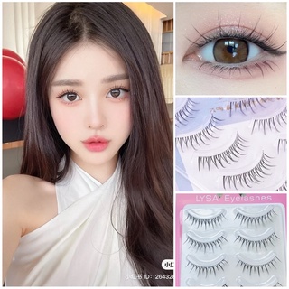 Mi giả gân trong siêu tự nhiên,Mi gân trong Lysa L04,Hộp 5 cặp