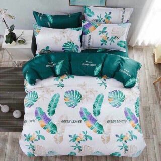 Bộ  cotton poly 220k