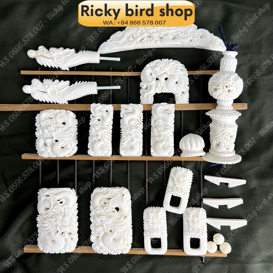 Bone set for Magpie bird cage - Dragon design - Phụ kiện chim Ricky bird shop