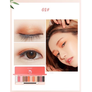 Bảng Mắt 10Ô LAMEILA Mẫu Mới