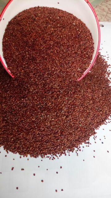 Hạt ngũ hoa 100g, hạt to (hạt đình lịch) | Thế Giới Skin Care