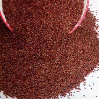 HẠT NGŨ HOA NGUYÊN CHẤT L1 - TÚI 100 GRAM HẠT TO - HÚT MỤN, CẤP ẨM