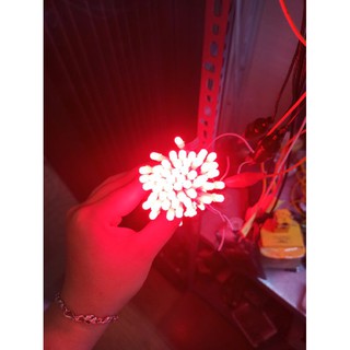 Led 5mm - 5V ( 100bóng/bó)