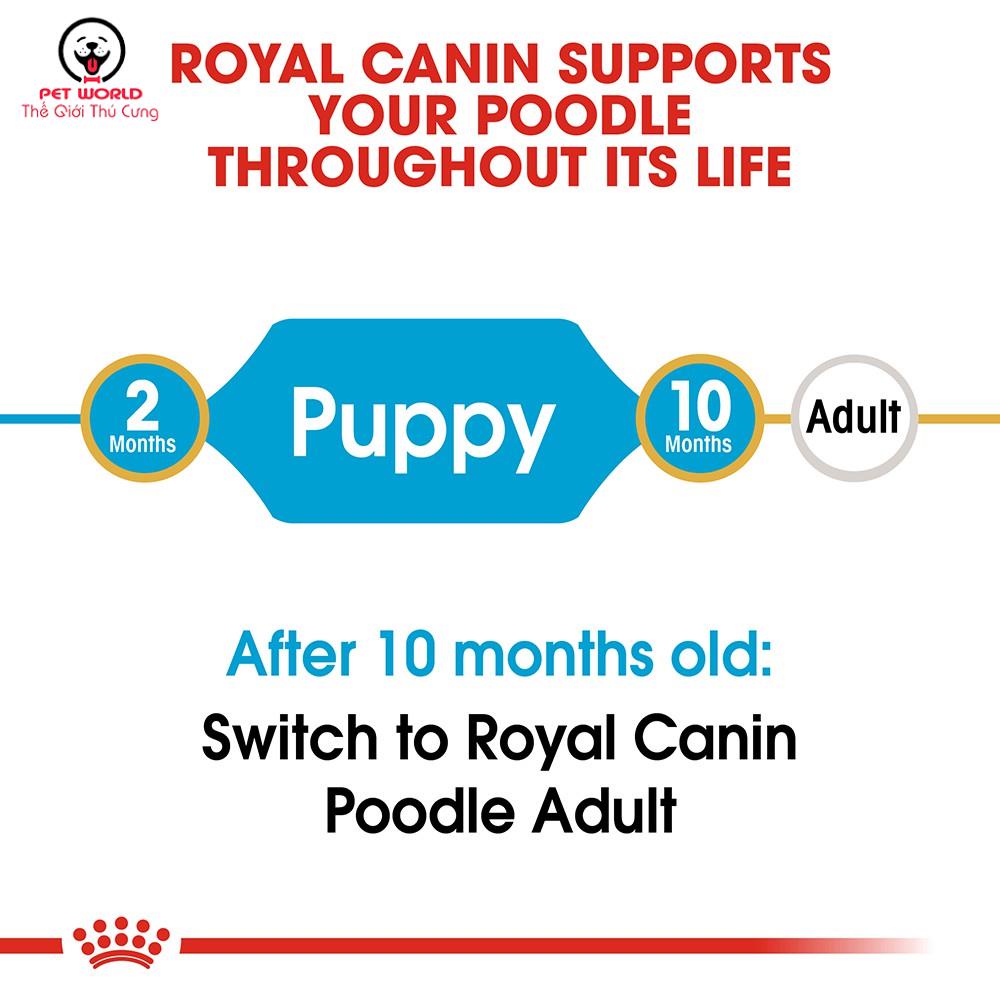 Hạt Royal Canin Poodle Puppy Cho Chó Con Poodle &lt;10 tháng