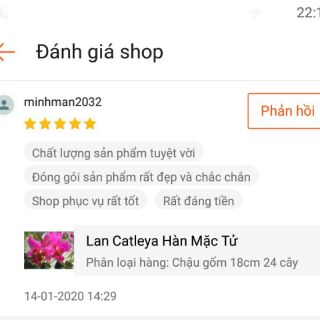 Lan Cattleya Hàn Mặc Tử