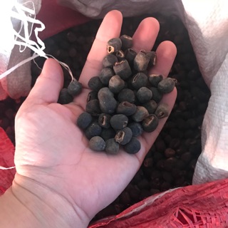 Chuối hột mồ côi 1 kg