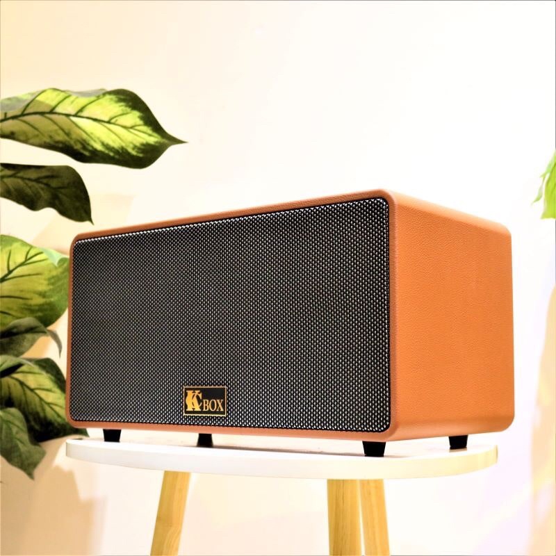 Loa Kéo Karaoke Xách Tay Di Động.Có Ngõ Ghim Guitar,Tặng Kèm 2 Micro Không Dây Cao Cấp