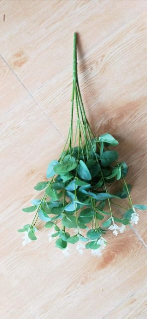 Cụm lá táo. 25k