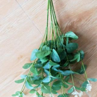Cụm lá táo. 25k