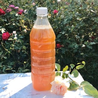 Mật ong hoa hồng nguyên chất - dung tích 1000ml