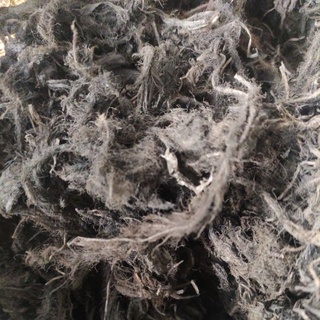 100g rễ lục bình khô (bèo tây) 5k Đồng Tháp