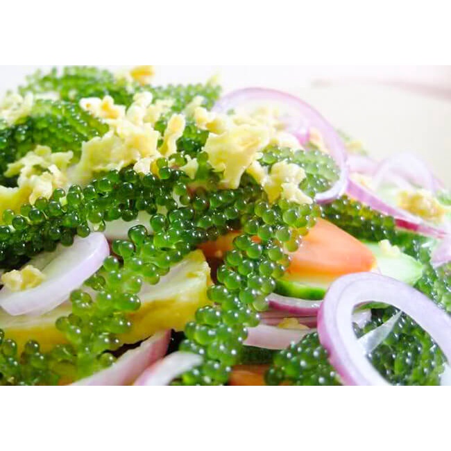 Rong nho tách nước Sea Việt Hộp 220g - KÈM 1 Chai Nước chấm mè rang KEWPIE 180ml | BigBuy360 - bigbuy360.vn