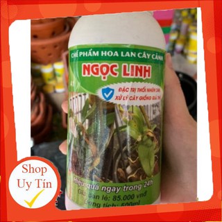 - Chế phẩm Ngọc Linh trị thối nhũn 24h cho Phong Lan chai 500ml chất.