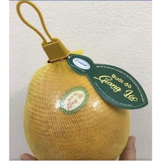 SET 20 túi lưới đựng hoa quả 35cm kèm móc GIÁ RẺ