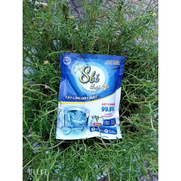 [CHÍNH HÃNG-HN] BỘT TẨY LỒNG MÁY GIẶT SBI THAI 300g