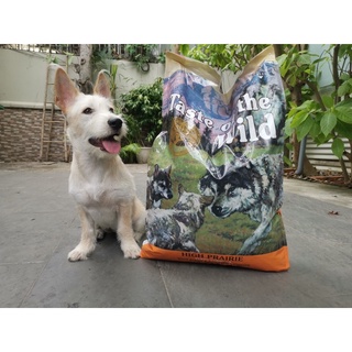 Thức ăn hạt khô cho chó Taste of the wild Bò rừng và nai nướng Puppy 12,2kg