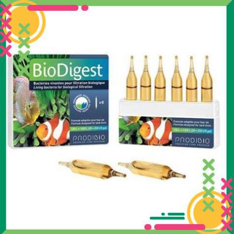 [Giá tốt] Prodibio BioDigest  - Bổ sung vi sinh sống cho hồ cá nước mặn và nước ngọt (Đơn vị: ống)