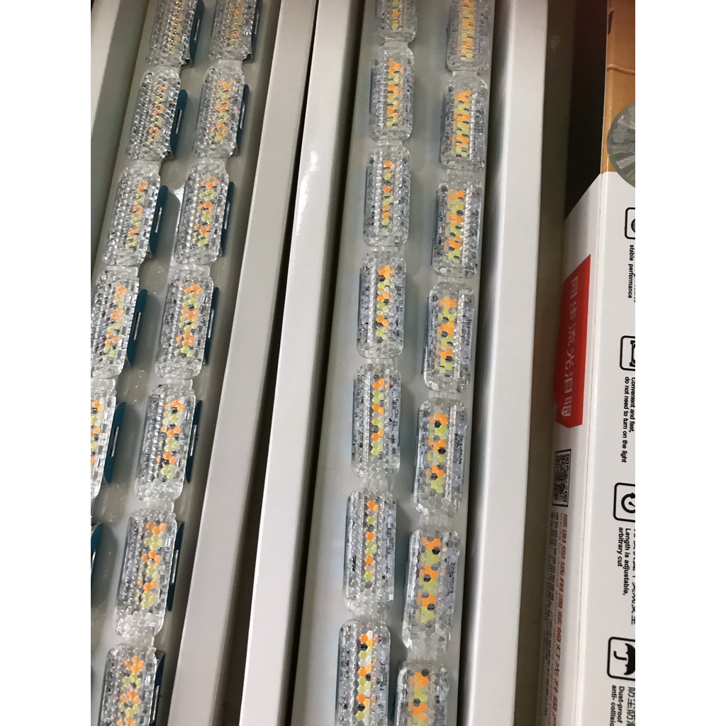LED MÍ THỦY TINH chạy Daylight Aozoom