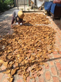 Măng khô sạch không hoá chất