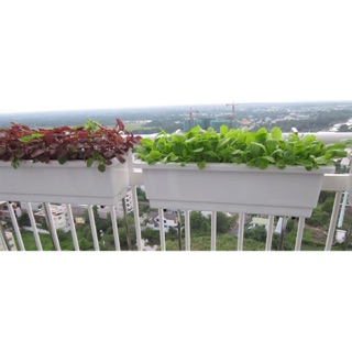 Chậu hoa nhựa dài 68cm