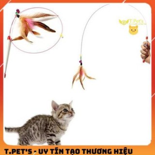 CẦN CÂU MÈO DÂY THÉP.