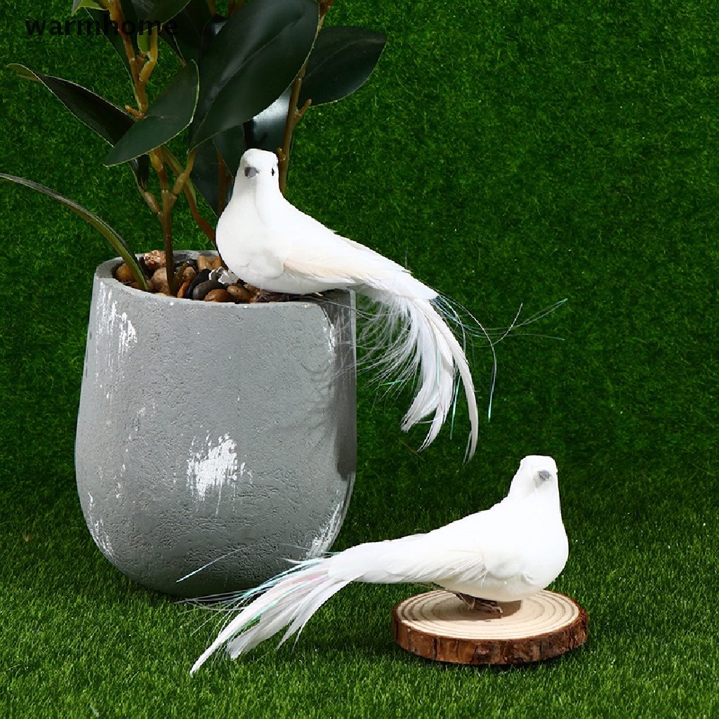 Bộ 2 Lông Vũ Trắng Trang Trí Nhà Cửa