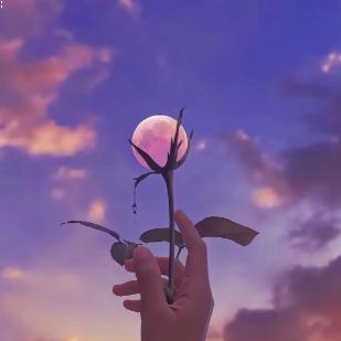 Cửa hàngJiapin Wanxing