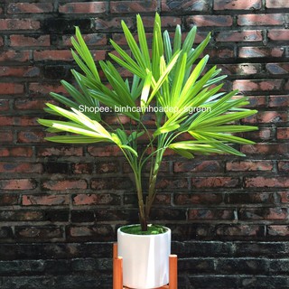 Cây giả - Cây cọ cảnh giả trang trí cao cấp