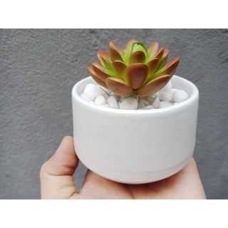 Chậu cây Bát Tràng