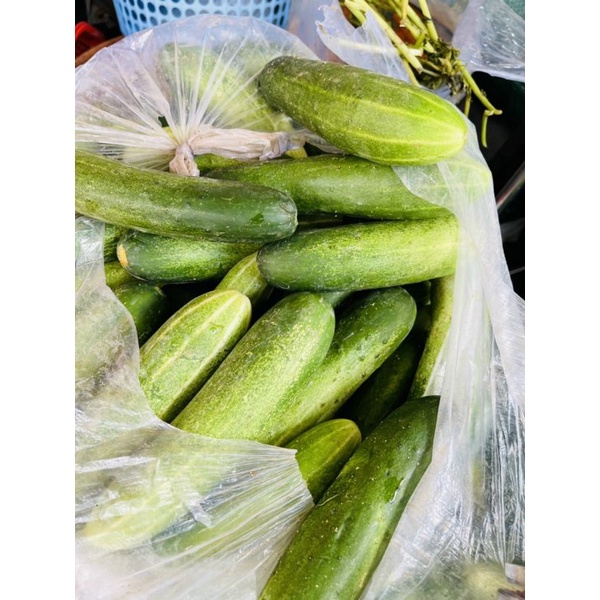 Dưa Leo Tươi