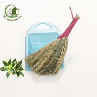 Chổi bông cỏ quét bếp mini