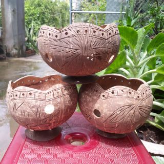 Chậu Gáo Dừa miệng kiểu có đế