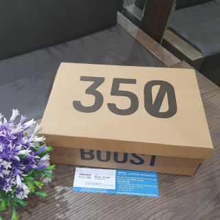 Hộp đựng giày Boost 350