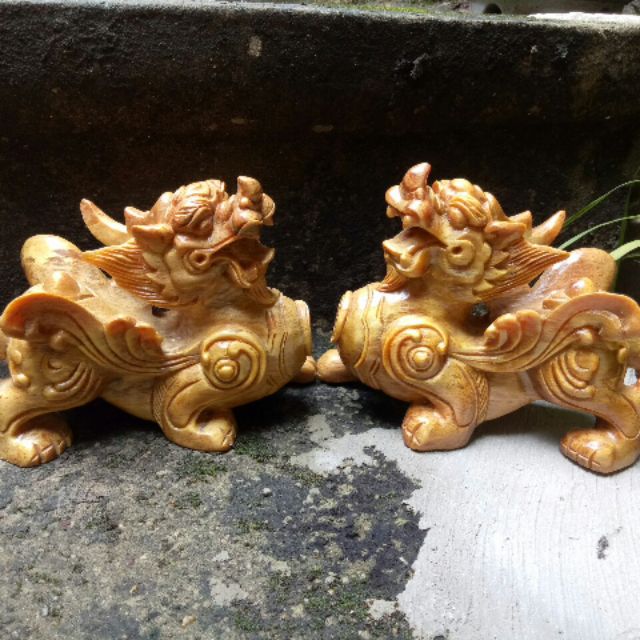 Tỳ hưu gỗ bách xanh