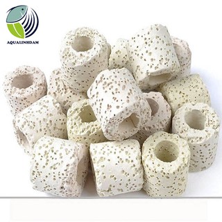 Sứ lỗ - sứ nhẫn (100 g)/Sứ lọc bể cá