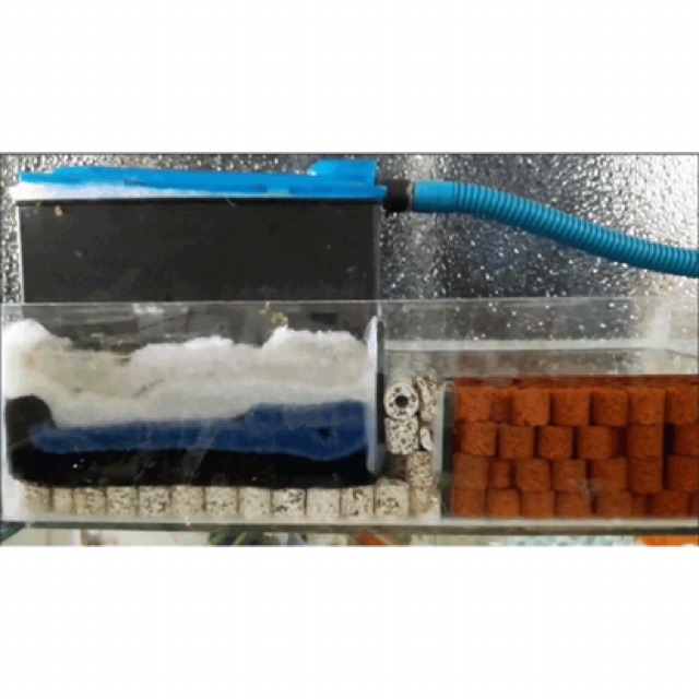 100gram Sứ Nhẫn Nâu Đỏ Lọc Nước Hồ Cá - Hàng Loại 1 Siêu Nhiều Lỗ Giúp Vi Sinh Trú Ngụ Cực Tốt