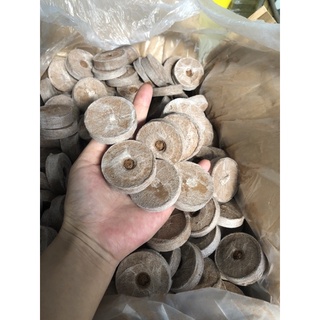 10 Viên nén sơ dừa ươm hạt giống