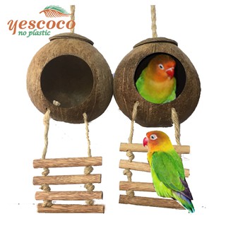 Tổ chim gáo dừa 4 thang gỗ || Cocodecor Xưởng SX