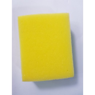 [GIẢM GIÁ] Miếng Rữa Chén Sum Vuông Mút và Cước Xanh