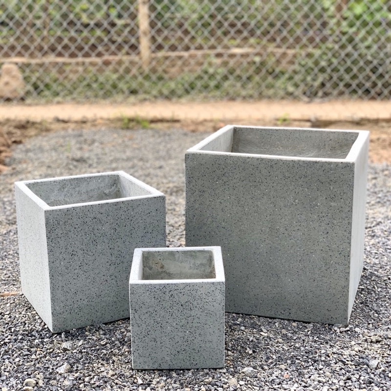 Chậu Xi Măng Vuông