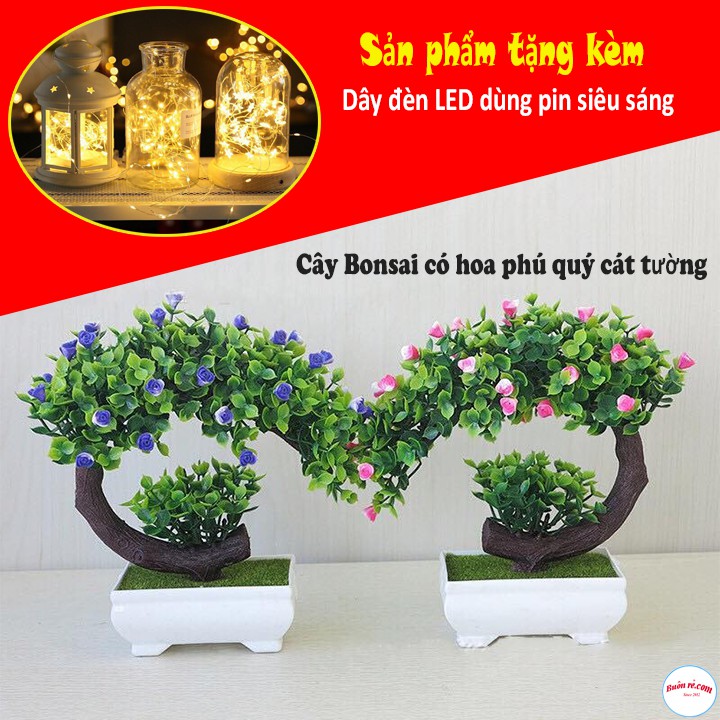 Cây bonsai nhựa phú quý cát tường tặng kèm 1 dây đèn led dùng pin siêu sáng - br00581