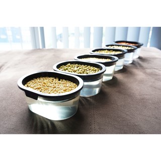 Hạt giống VitaHiro 150gr