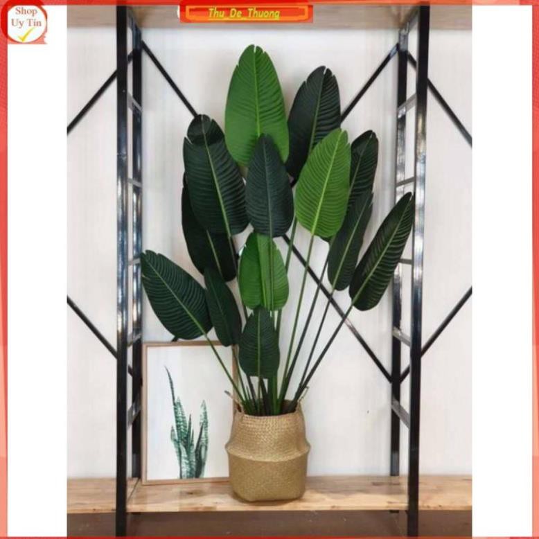 cây chuối giả cảnh ( tặng chậu nhựa kèm giỏ cói)