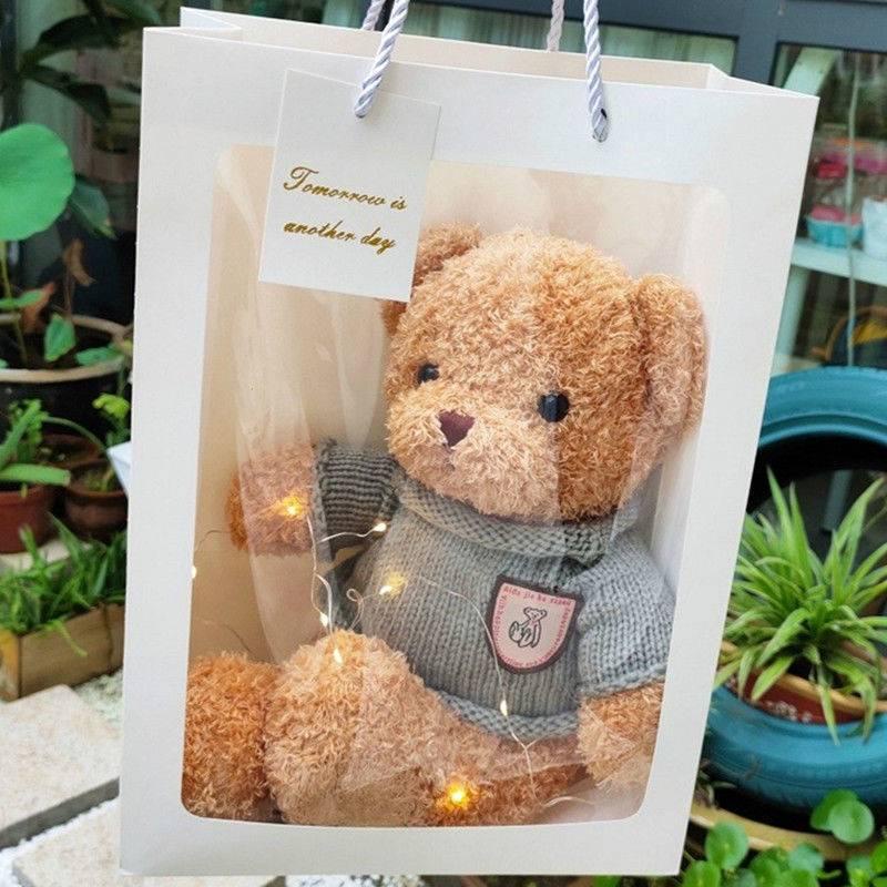 Gấu Teddy nhồi bông thiết kế dễ thương dùng làm quà tặng sinh nhật dành cho bạn gái