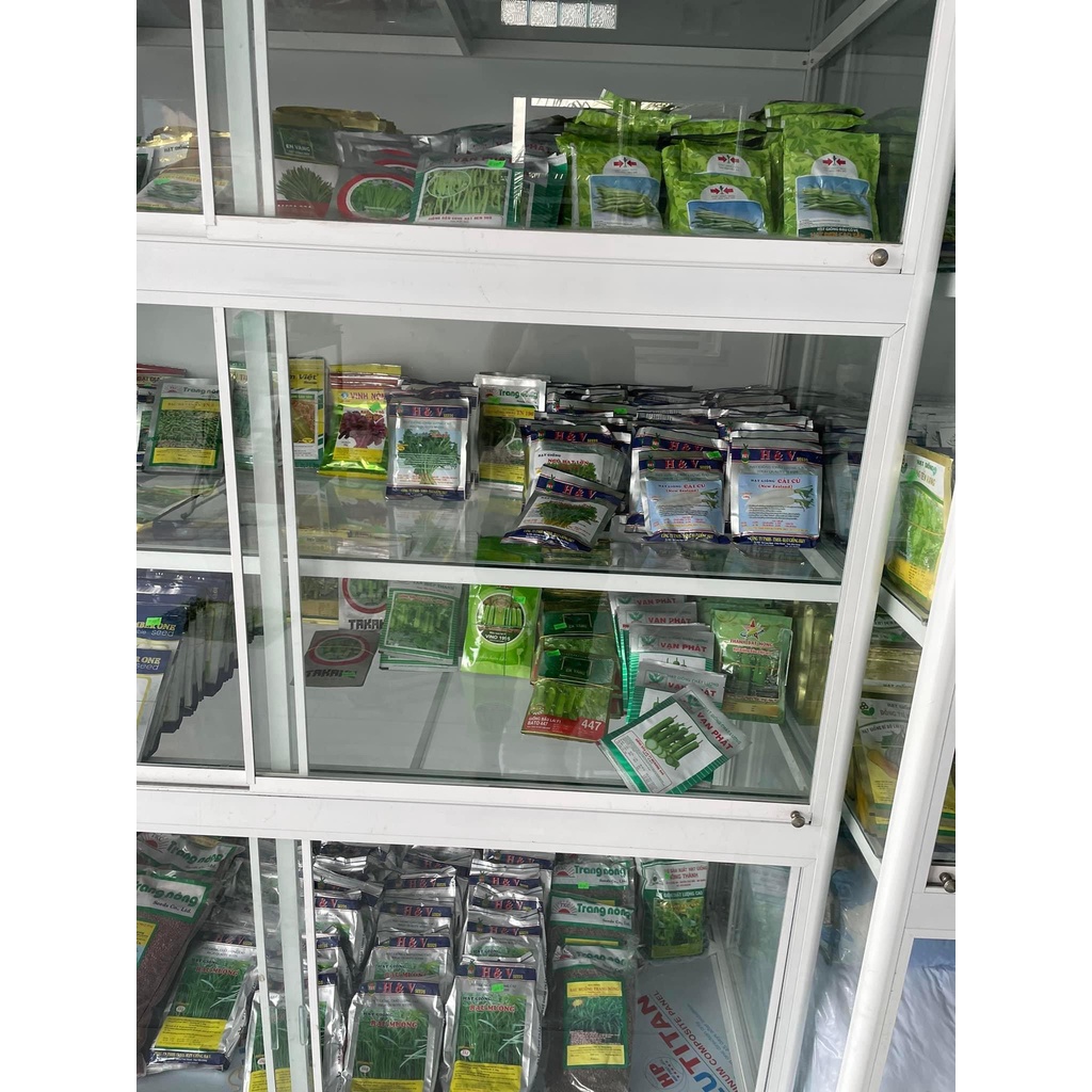 Hạt giống mướp hương Lai F1 Taka L07