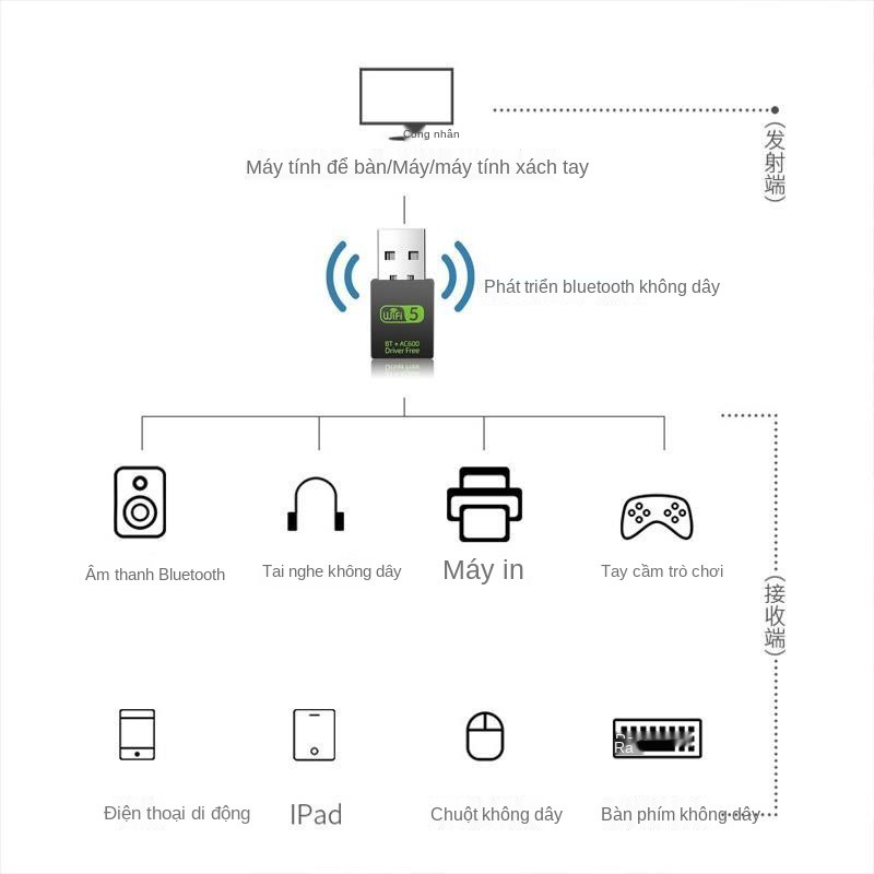 không ổ đĩa USB card mạng không dây máy tính để bàn / máy tính xách tay Bộ thu mạng WIFI thông tin máy tính | BigBuy360 - bigbuy360.vn