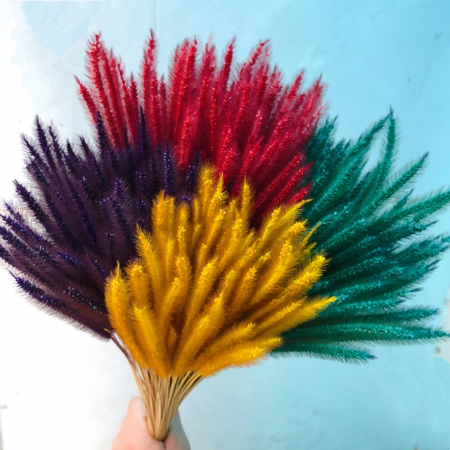 Cỏ Đuôi Chồn Khô Trang Trí